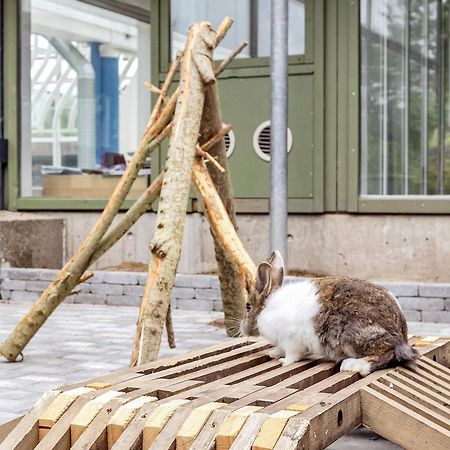 6 Person Holiday Home On A Holiday Park In Гиллеляйе Экстерьер фото